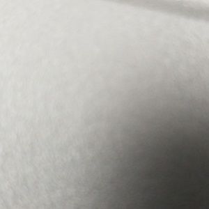 Meet your Posher, Daina